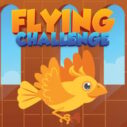 Flying Challenge 8 flying challenge 1