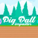 Pig Ball impostor 10 pig ball impostor